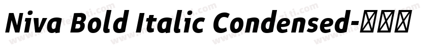 Niva Bold Italic Condensed字体转换